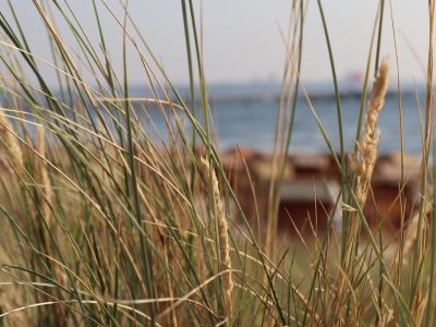 Dünen vor Scharbeutz