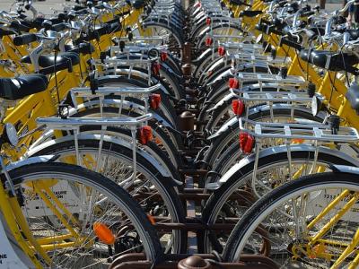 Strandkörbe in Scharbeutz